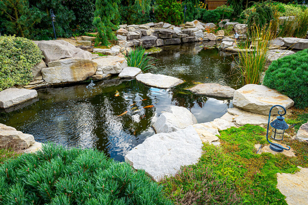 Teich im Sommer: Algen, Sauerstoff und Verdunstung im Griff behalten