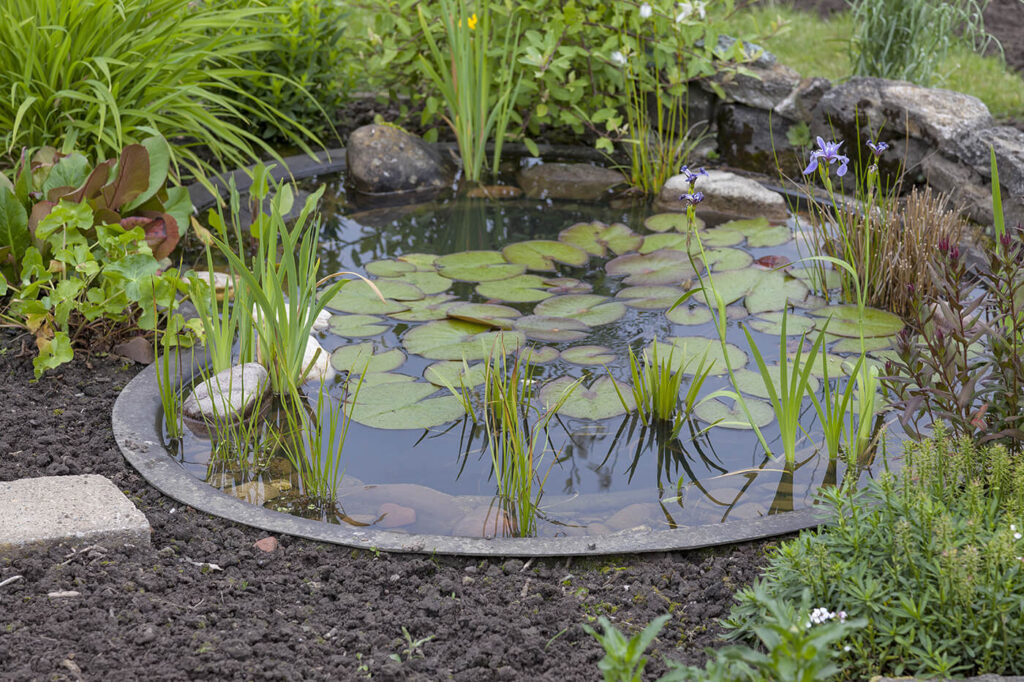 Gartenteich anlegen: Folie, Fertigbecken oder Lehm im Vergleich