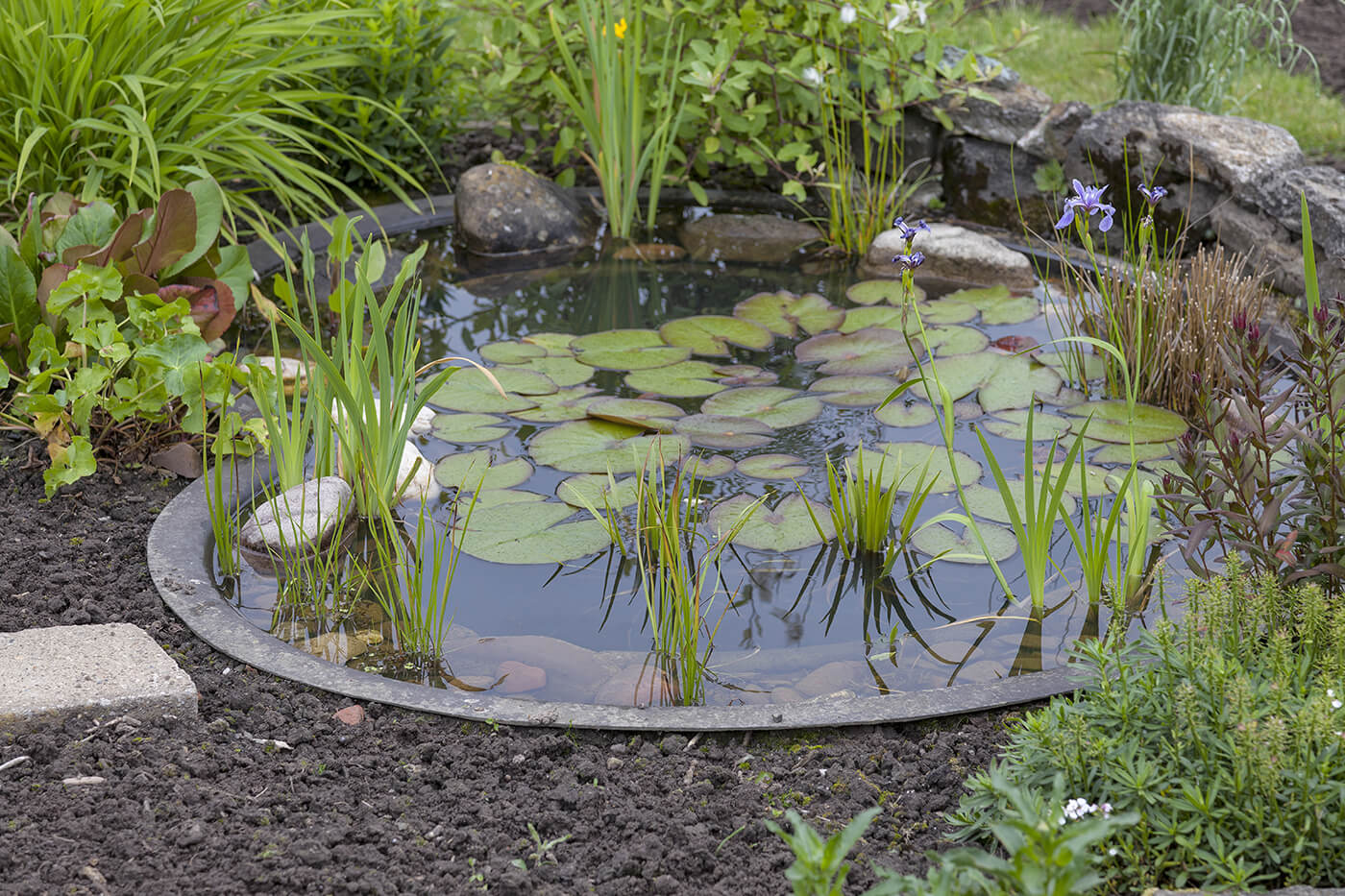 Gartenteich anlegen: Folie, Fertigbecken oder Lehm im Vergleich