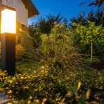 Insektenfreundlich beleuchten: warmes Licht, weniger Streulicht