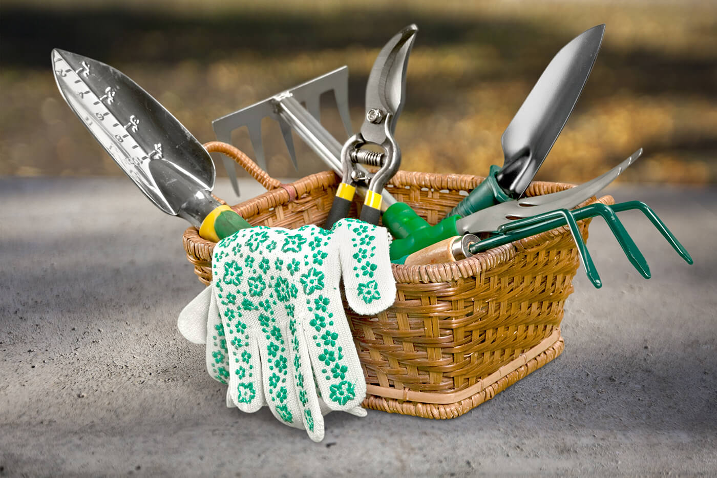 Gartenwerkzeug für die Beetpflege: Spaten, Hacke und Schere wählen, schärfen, pflegen