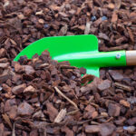 Mulch im Beet: Rindenmulch, Kies oder Häckselgut im Vergleich
